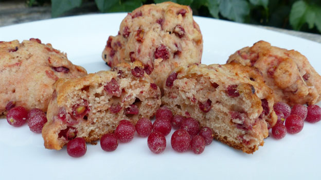 Autumn Olive Cookies