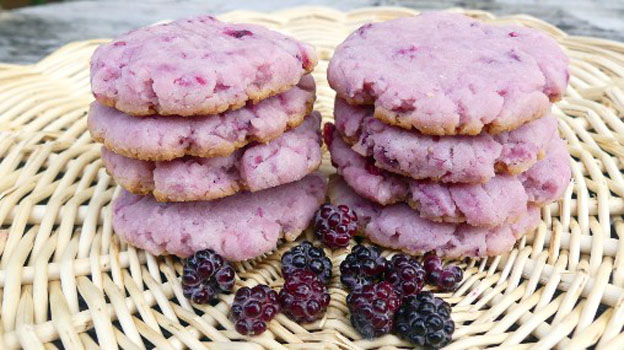 Black Raspberry and Lemon Shortbread Cookies