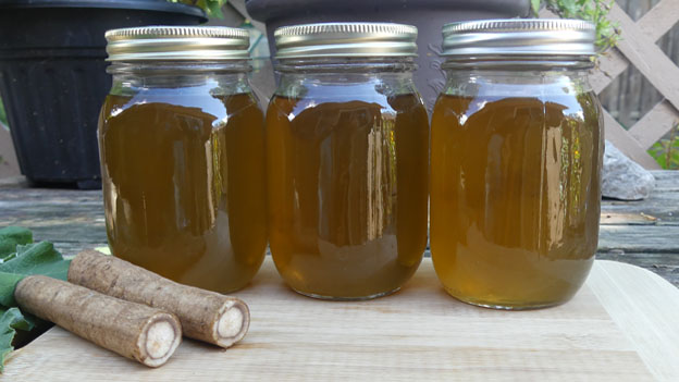 Burdock Jelly