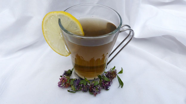 Burdock Tonic Tea