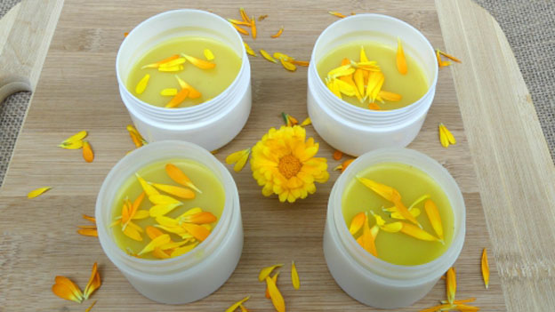 Calendula Salve