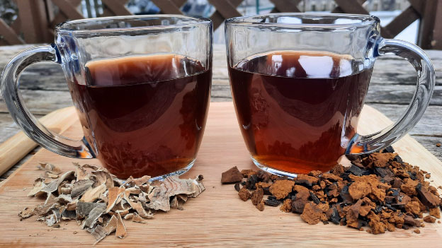 Chaga Turkey Tail Tea