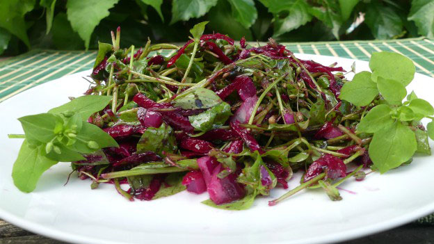 Chickweed Salad