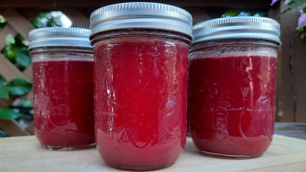 Chokecherry and Apple Jelly