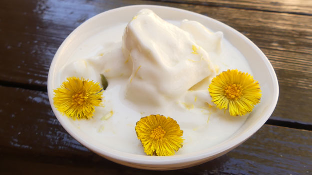 Coltsfoot Sorbet