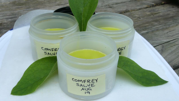 Comfrey Salve