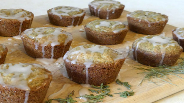 Conifer Muffins