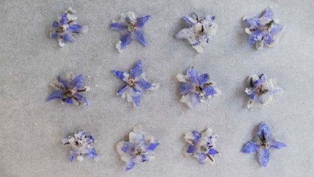 Crystallized Borage