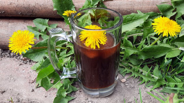 Dandelion Iced Tea