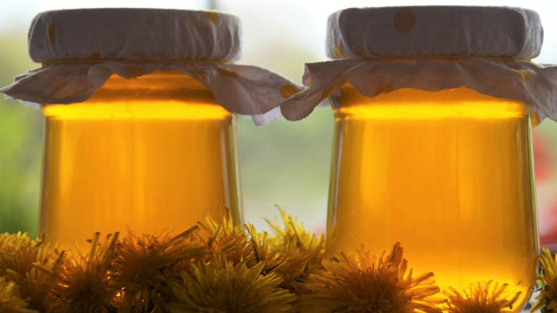 Dandelion Syrup