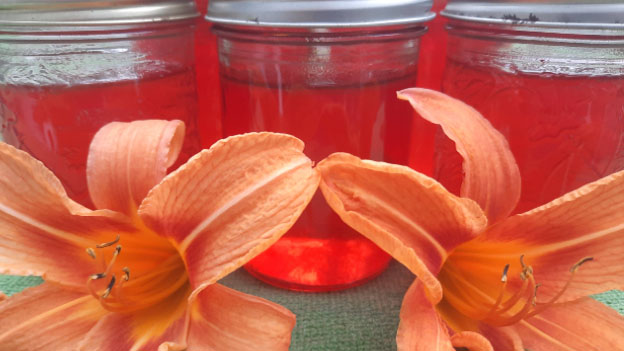 Daylily Jelly