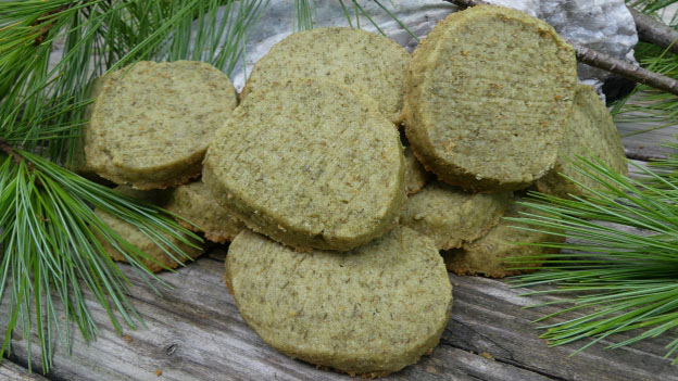 Easy-to-Make Pine Cookies