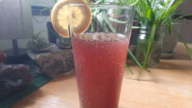 Elderberry Ginger Soda