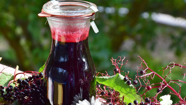 Elderberry Ginger Syrup