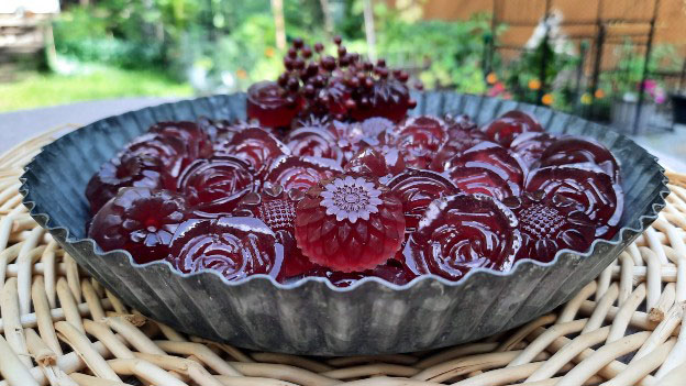 Elderberry Gummies