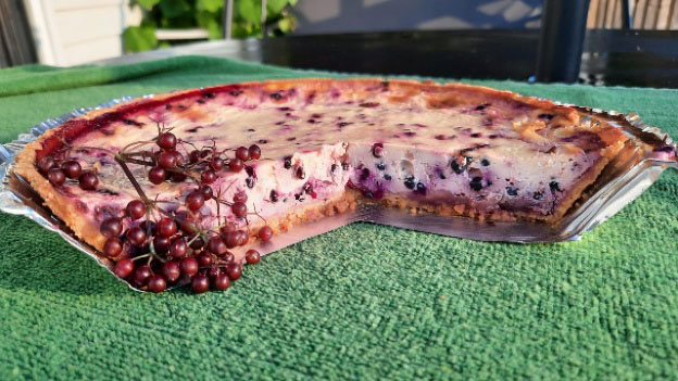 Elderberry Lime Pie