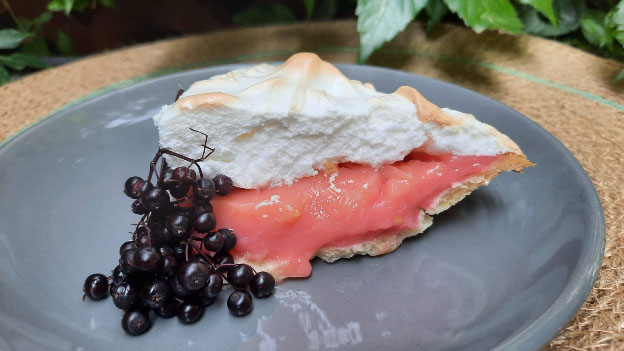 Elderberry Meringue Pie