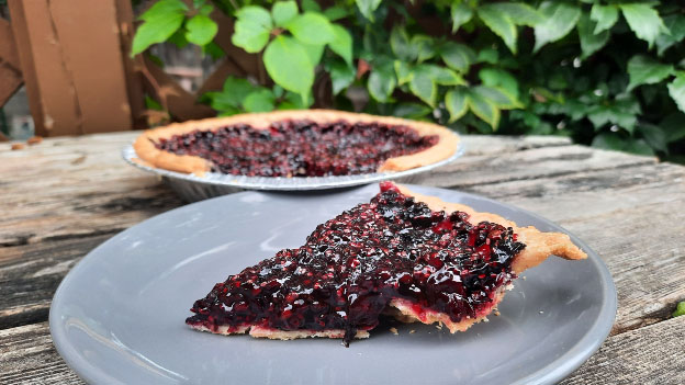 Elderberry Pie