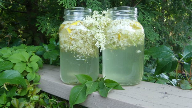 Elderflower Cordial