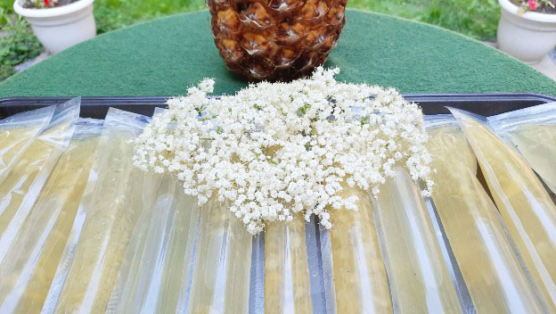 Elderflower Pineapple Freezies