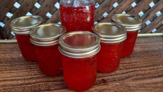 False Solomon Seal and Pear Jelly
