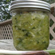 Fermented Wild Food Recipes