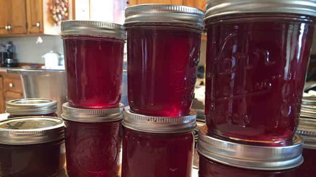 Fireweed Jelly