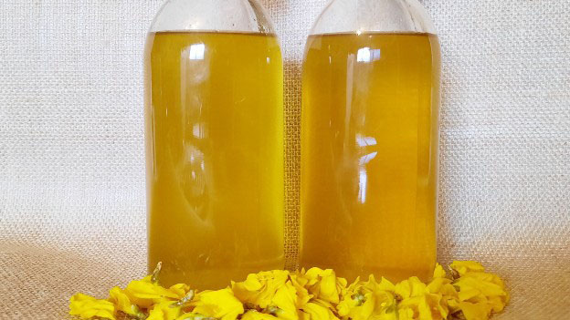 Forsythia Syrup