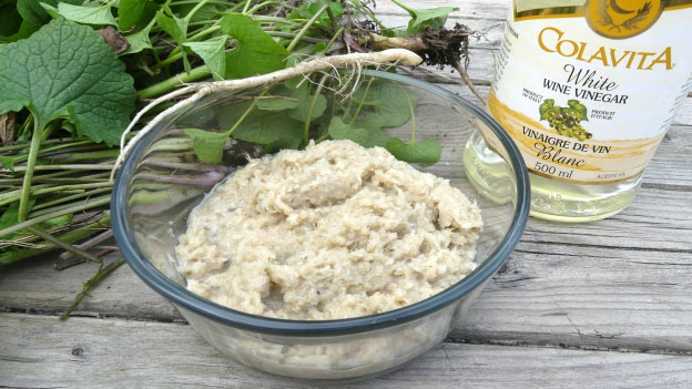 Garlic Mustard Horseradish