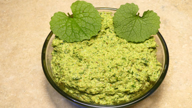 Garlic Mustard Pesto