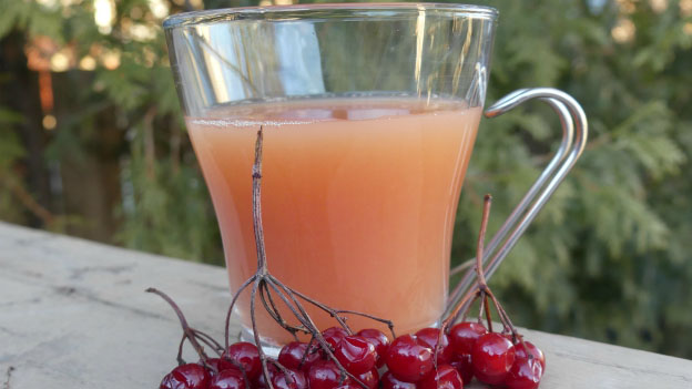 Highbush Cranberry Juice