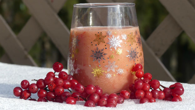 Highbush Cranberry Smoothie