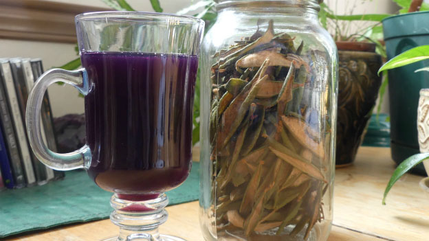 Blueberry Labrador Tea Juice