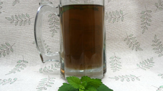 Lemon Balm Ice Tea