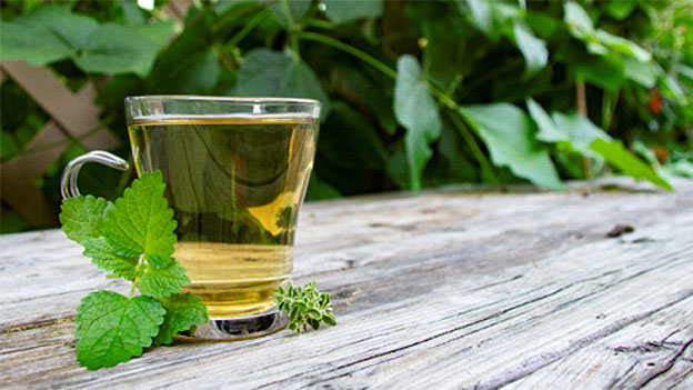 Lemon Balm Tea