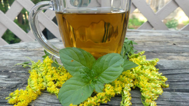 Minty Goldenrod Tea