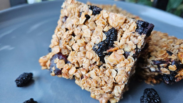 Mulberry Granola Squares