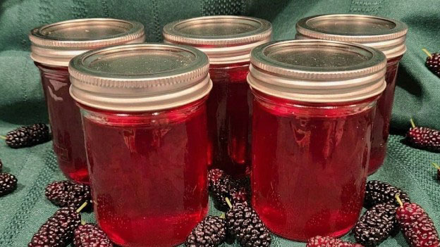 Mulberry Wine Jelly