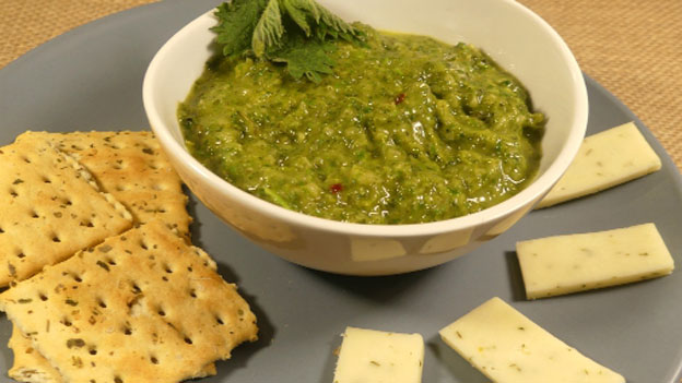 Nettle Pesto