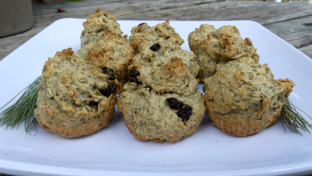 Pine Muffins