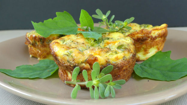 Purslane Egg Cups