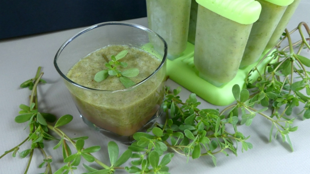 Purslane Smoothie and Popsicles