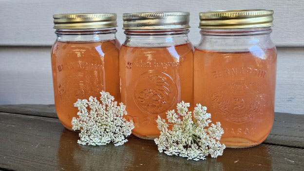 Queen Annes Lace Jelly