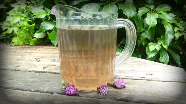 Red Clover Ice Tea