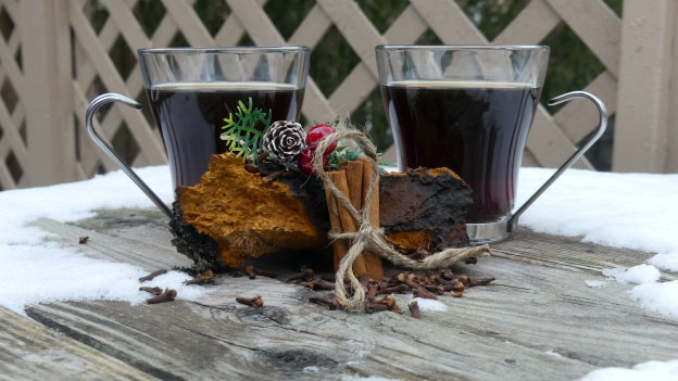 Spiced Chaga