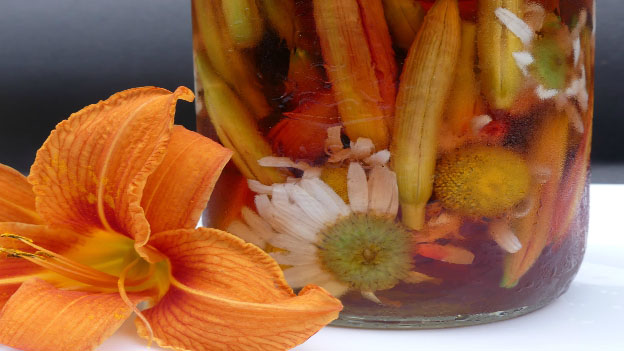 Spicy Pickled Daylilies and Daisies