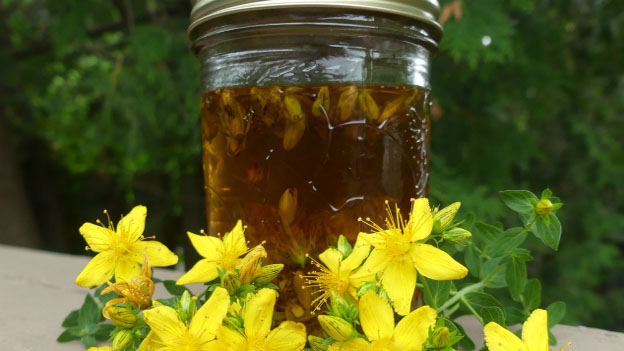 St Johns Wort Oil