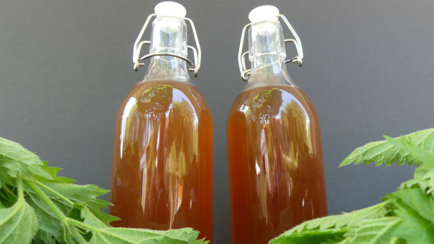 Stinging Nettle Beer