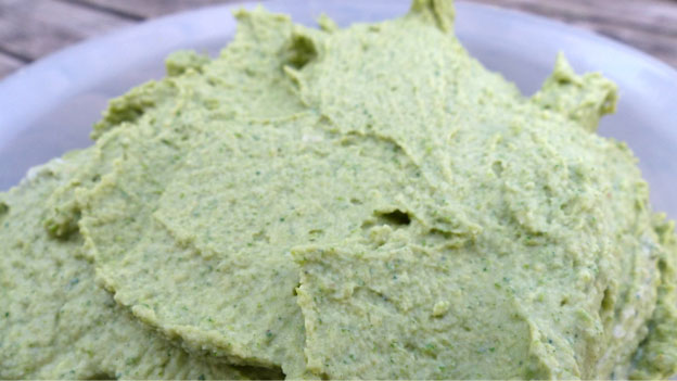 Stinging Nettle Hummus