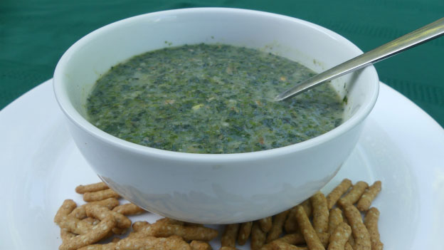 Stinging Nettle Soup